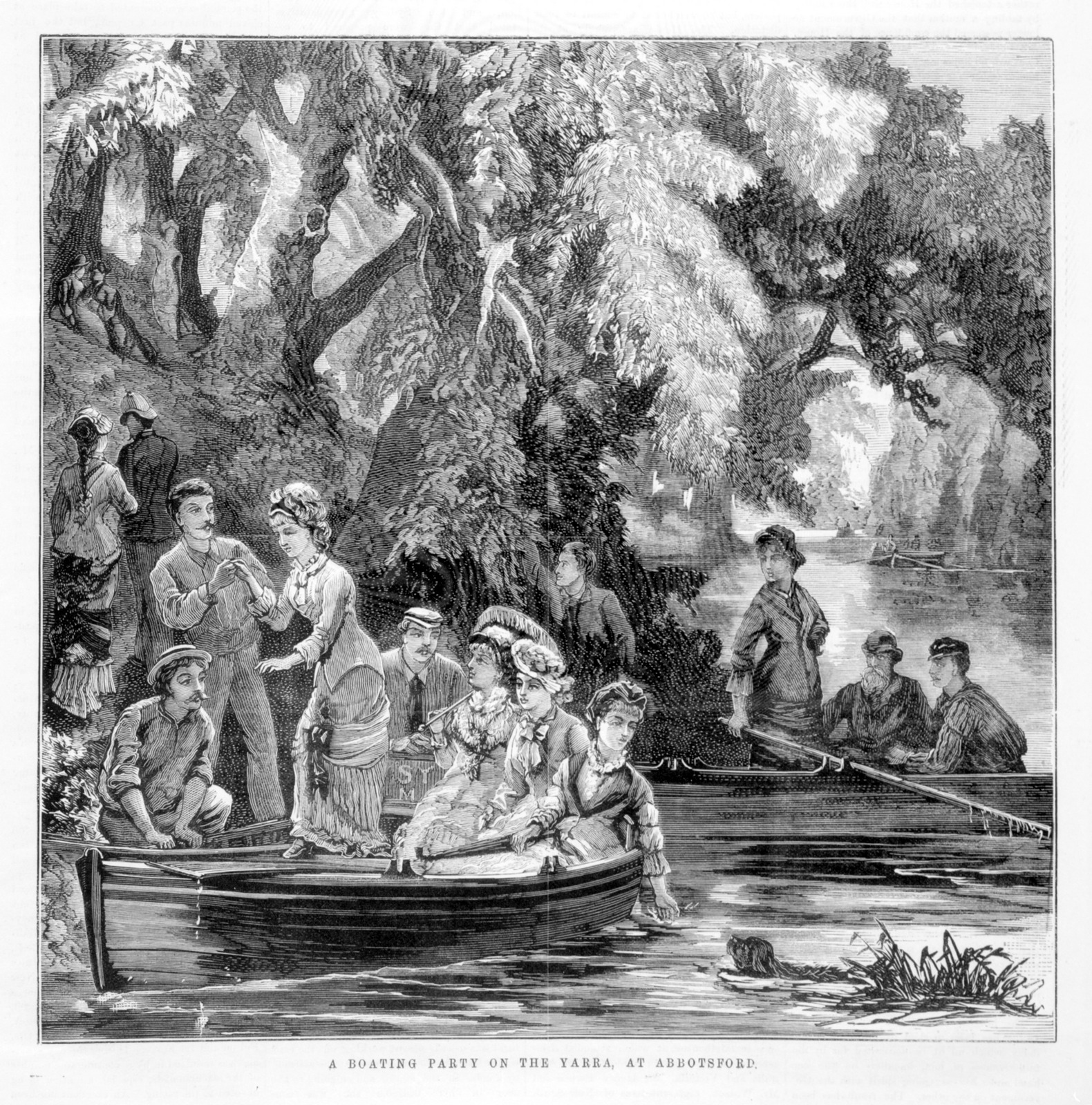 A boating Party on the Yarra, at Abbotsford.